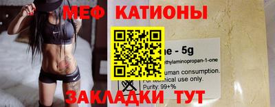индика Ефремов