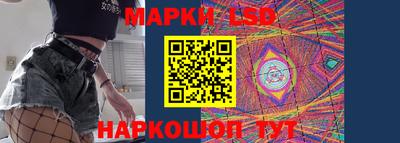 индика Ефремов