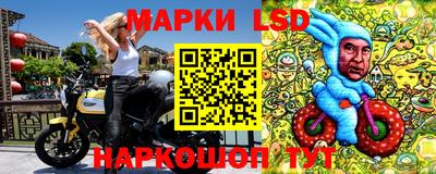 индика Ефремов