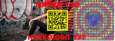 индика Ефремов