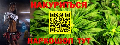индика Ефремов