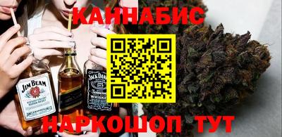 индика Ефремов