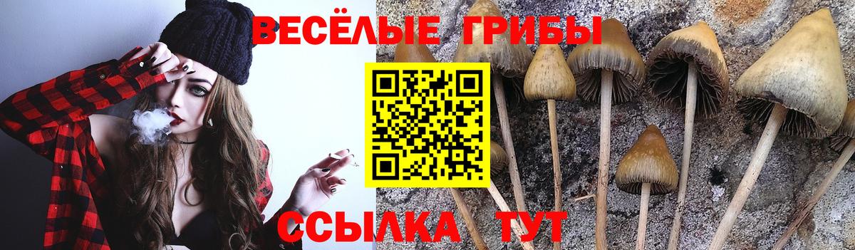 Галлюциногенные грибы GOLDEN TEACHER Белгород
